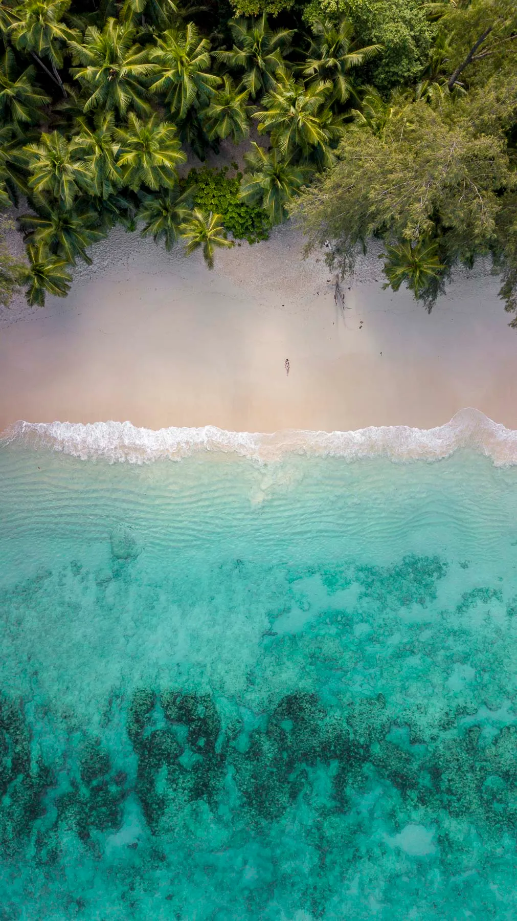 A narrow tropical beach and blue water seen from above.