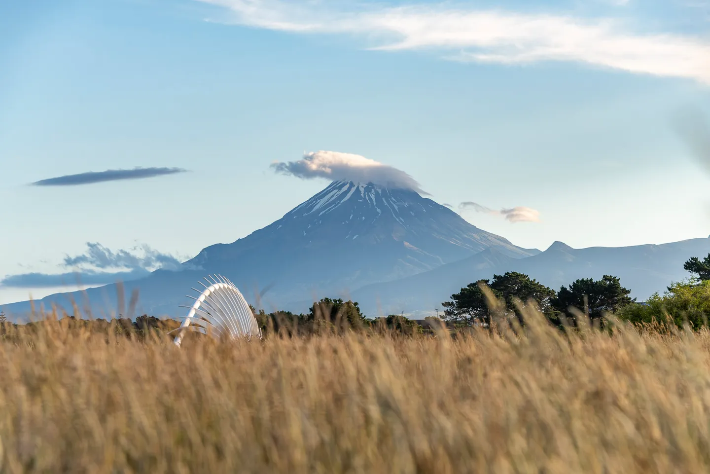Mount Taranaki rising behind grasses and the white ribs of Te Rewa Rewa Bridge.