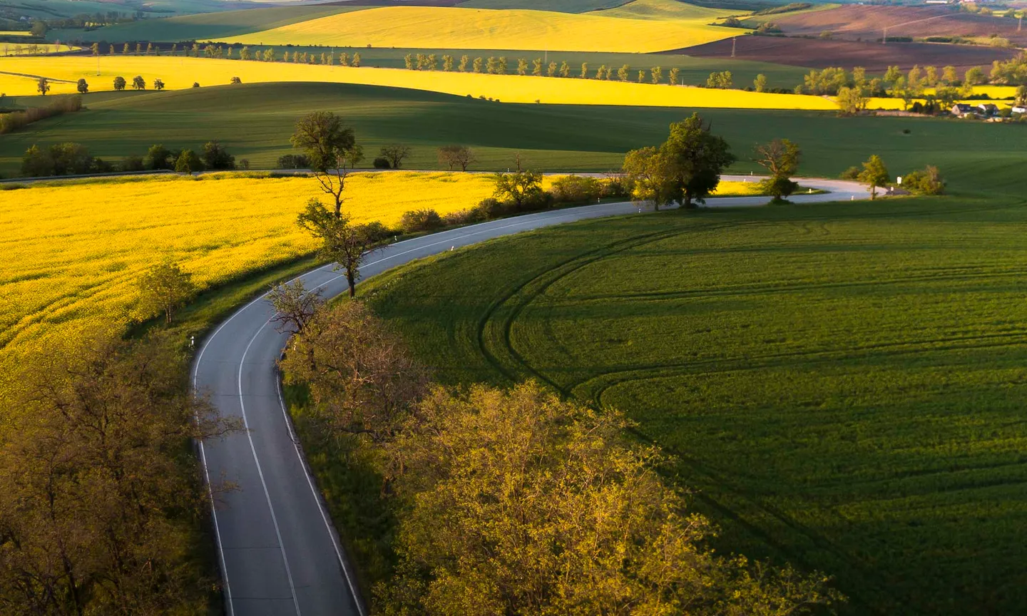 A country road crossing the rolling fields of Moravia.