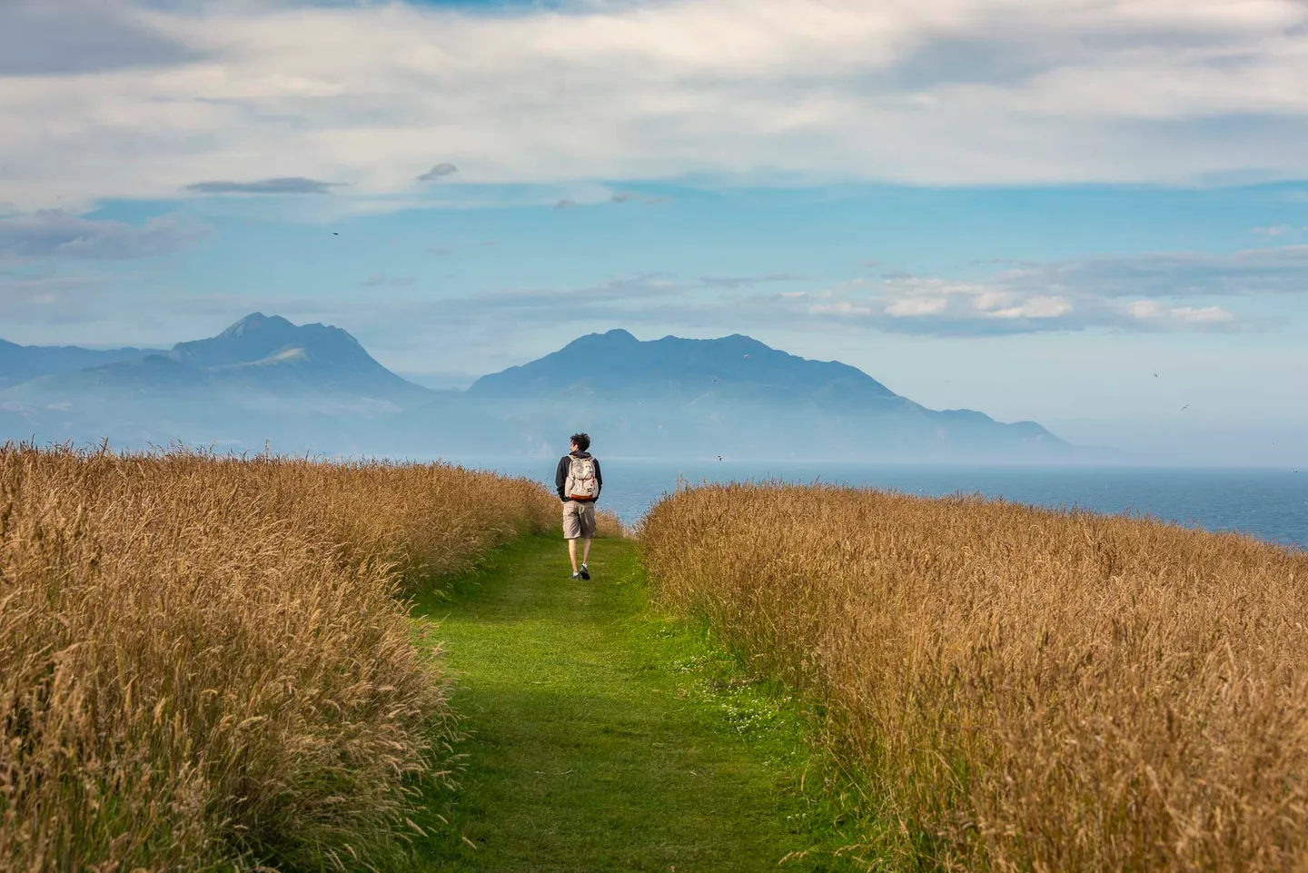 A road through the central landscape of New Zealand’s North Island.