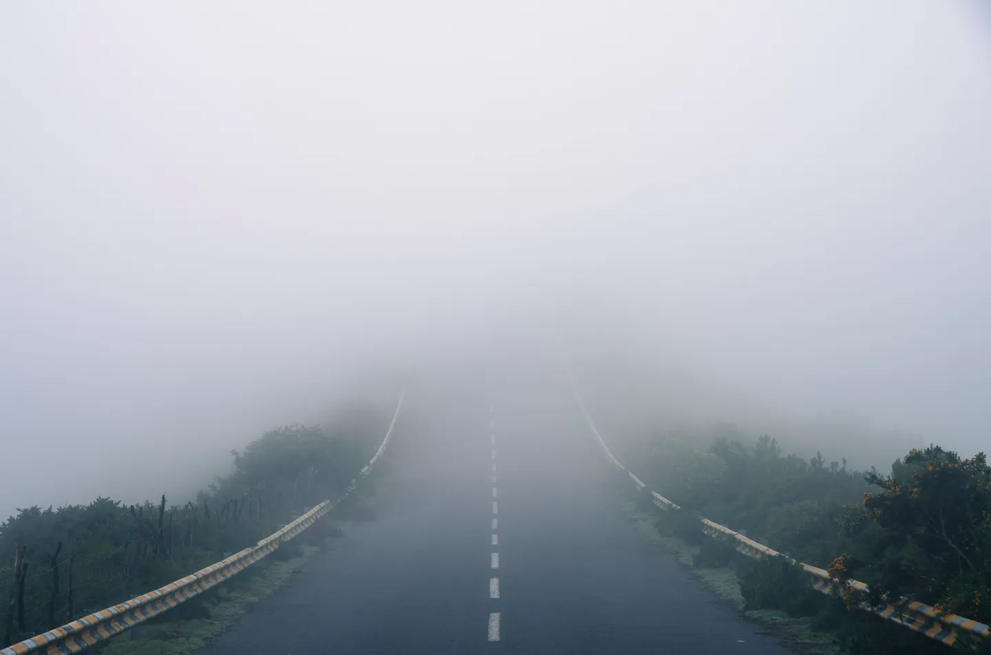 A road through Madeira’s high country near the Fanal forest.