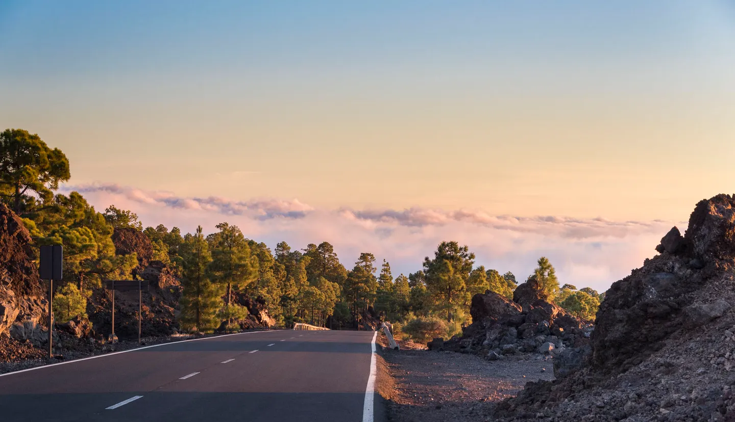 A winding road through the volcanic landscape of Tenerife.